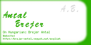 antal brejer business card